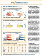 DZB Zertifikate-Plenum November 08: Der Tiefpunkt ist überwunden